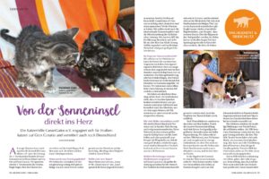 CanariGatos-Geliebte-Katze-GK02-062-063