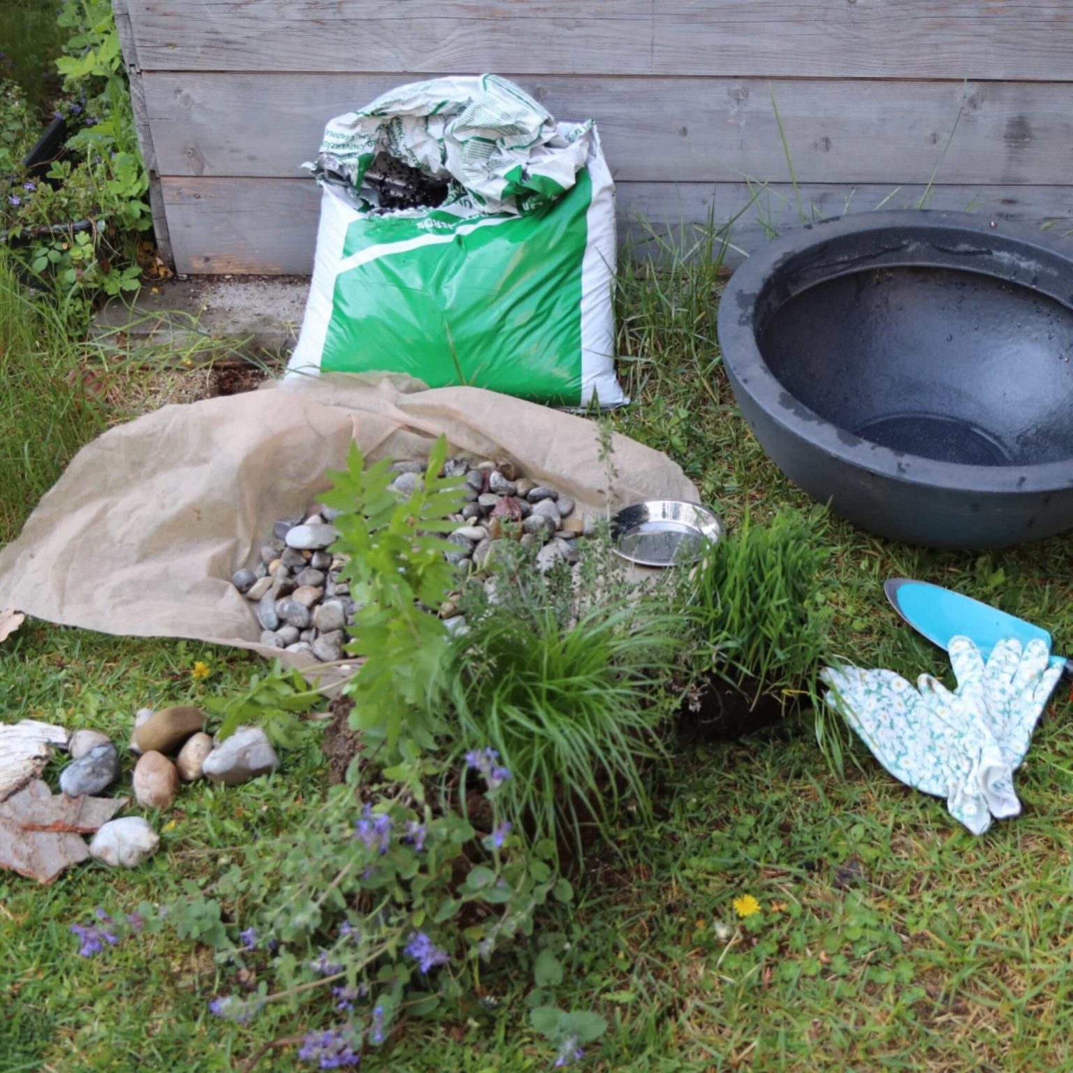 DIYKatzengarten Katzenhilfe CanariGatos e.V.