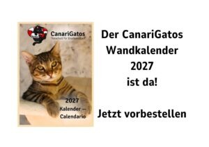 Wandkalender 2027, Katze Tierschutz